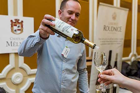 Festival vína Český Krumlov ®: Zámecká slavnost vína, zámecká jízdárna 24.11.2018 (69/156)