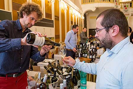 Festival vína Český Krumlov ®: Zámecká slavnost vína, zámecká jízdárna 24.11.2018 (74/156)