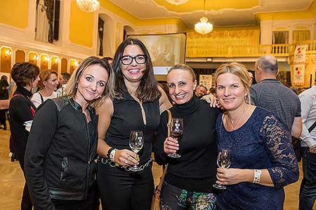 Festival vína Český Krumlov ®: Zámecká slavnost vína, zámecká jízdárna 24.11.2018 (153/156)