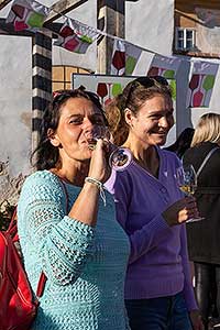 Slavnostní zahájení Festivalu vína Český Krumlov ® 18.10.2019, foto: Lubor Mrázek (47/60)