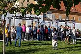 Slavnostní zahájení Festivalu vína Český Krumlov ® 18.10.2019, foto: Lubor Mrázek