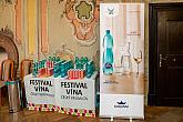 Česko & Slovensko - Znovín Znojmo & Víno Nitra - volná degustace, Festival vína Český Krumlov 28.10.2019, foto: Lubor Mrázek