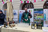 Příjezd sv. Martina a slavnostní otevření Svatomartinského vína, Festivalu vína Český Krumlov® 11.11.2019, foto: Lubor Mrázek