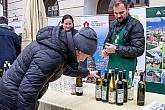 Příjezd sv. Martina a slavnostní otevření Svatomartinského vína, Festivalu vína Český Krumlov® 11.11.2019, foto: Lubor Mrázek