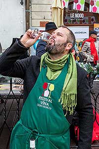 Příjezd sv. Martina a slavnostní otevření Svatomartinského vína, Festivalu vína Český Krumlov® 11.11.2019, foto: Lubor Mrázek (44/66)