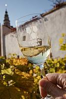 Zahájení Festivalu vína Český Krumlov® na vinici v Klášterní zahradě 22.10.2021, foto: Tomáš Kasal