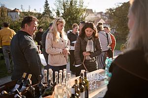 Zahájení Festivalu vína Český Krumlov® na vinici v Klášterní zahradě 22.10.2021, foto: Tomáš Kasal