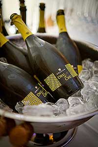 Festival vína Český Krumlov® - zahajovací večer, Egon Schiele Art Centrum 22. 10. 2021, foto: Tomáš Kasal (1/41)