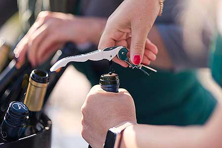 Zahájení Festivalu vína Český Krumlov® na vinici v Klášterní zahradě 7. 10. 2022, foto: Tomáš Kasal (1/64)