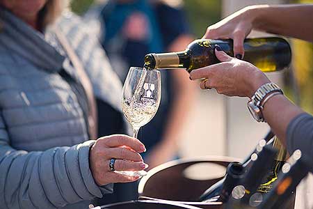 Zahájení Festivalu vína Český Krumlov® na vinici v Klášterní zahradě 7. 10. 2022, foto: Tomáš Kasal (4/64)