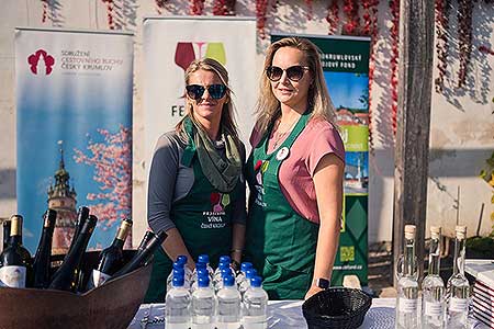 Zahájení Festivalu vína Český Krumlov® na vinici v Klášterní zahradě 7. 10. 2022, foto: Tomáš Kasal (15/64)