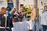 Zahájení Festivalu vína Český Krumlov® na vinici v Klášterní zahradě 7. 10. 2022, foto: Tomáš Kasal