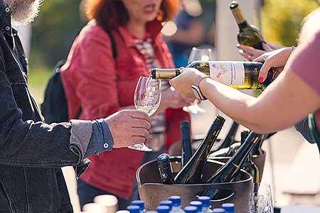 Zahájení Festivalu vína Český Krumlov® na vinici v Klášterní zahradě 7. 10. 2022, foto: Tomáš Kasal (20/64)