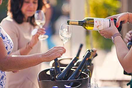 Zahájení Festivalu vína Český Krumlov® na vinici v Klášterní zahradě 7. 10. 2022, foto: Tomáš Kasal (21/64)