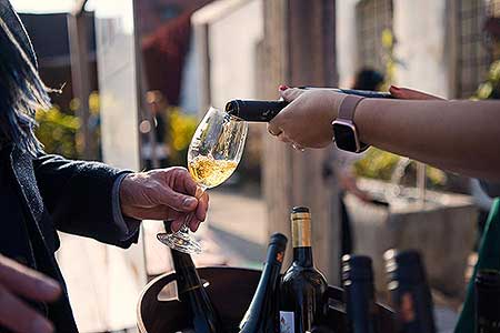 Zahájení Festivalu vína Český Krumlov® na vinici v Klášterní zahradě 7. 10. 2022, foto: Tomáš Kasal (53/64)