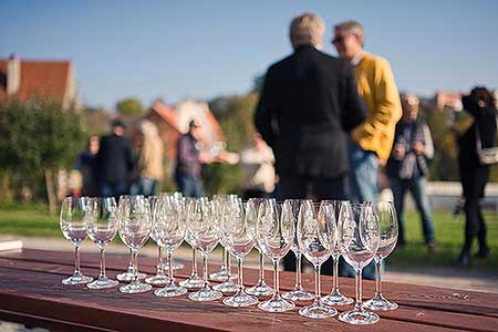 Zahájení Festivalu vína Český Krumlov® na vinici v Klášterní zahradě 7. 10. 2022, foto: Tomáš Kasal (57/64)