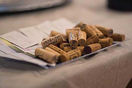 Festival vína Český Krumlov® - zahajovací večer, Egon Schiele Art Centrum 7. 10. 2022, foto: Tomáš Kasal (56/94)