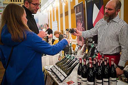 Zámecká slavnost vína 9. 4. 2022 – náhradní termín, foto: Tomáš Kasal (3/92)