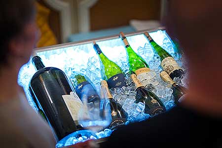 Zámecká slavnost vína 9. 4. 2022 – náhradní termín, foto: Tomáš Kasal (5/92)