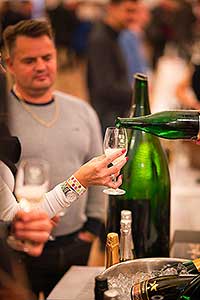 Zámecká slavnost vína 9. 4. 2022 – náhradní termín, foto: Tomáš Kasal (15/92)