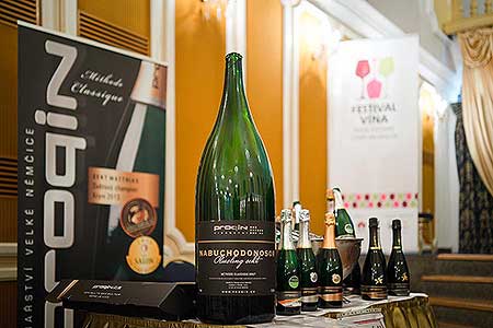 Zámecká slavnost vína 9. 4. 2022 – náhradní termín, foto: Tomáš Kasal (17/92)