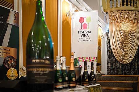Zámecká slavnost vína 9. 4. 2022 – náhradní termín, foto: Tomáš Kasal (18/92)