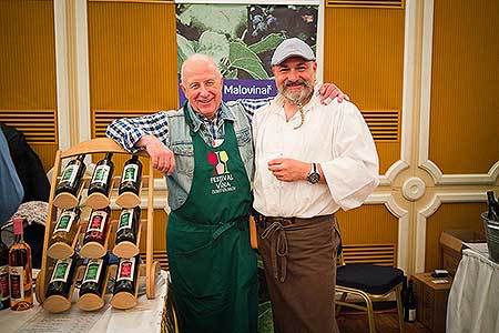 Zámecká slavnost vína 9. 4. 2022 – náhradní termín, foto: Tomáš Kasal (20/92)