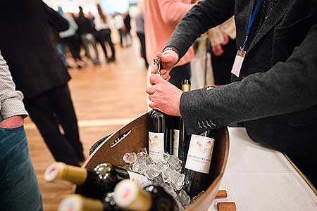 Zámecká slavnost vína 9. 4. 2022 – náhradní termín, foto: Tomáš Kasal (26/92)