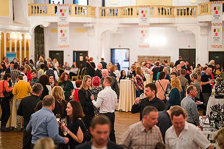 Zámecká slavnost vína 9. 4. 2022 – náhradní termín, foto: Tomáš Kasal (29/92)