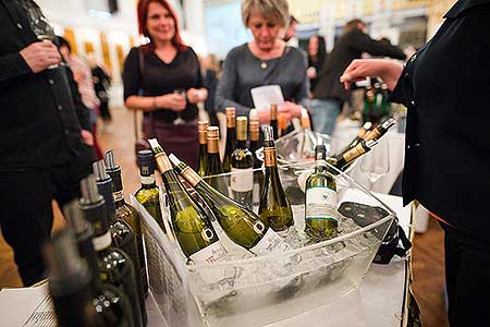 Zámecká slavnost vína 9. 4. 2022 – náhradní termín, foto: Tomáš Kasal (46/92)