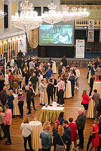 Zámecká slavnost vína 9. 4. 2022 – náhradní termín, foto: Tomáš Kasal (59/92)