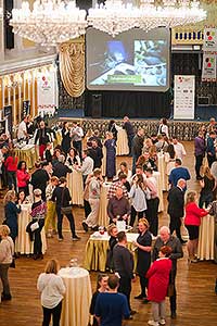 Zámecká slavnost vína 9. 4. 2022 – náhradní termín, foto: Tomáš Kasal (61/92)