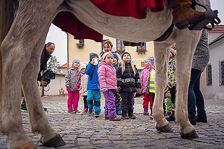 Příjezd svatého Martina a slavnostní otevření Svatomartinského vína 11. 11. 2021, foto: Tomáš Kasal (5/69)
