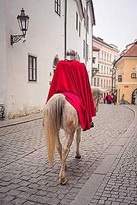 Příjezd svatého Martina a slavnostní otevření Svatomartinského vína 11. 11. 2021, foto: Tomáš Kasal (24/69)