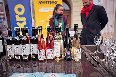 Příjezd svatého Martina a slavnostní otevření Svatomartinského vína 11. 11. 2021, foto: Tomáš Kasal (37/69)