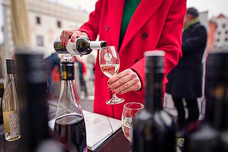 Příjezd svatého Martina a slavnostní otevření Svatomartinského vína 11. 11. 2021, foto: Tomáš Kasal (68/69)