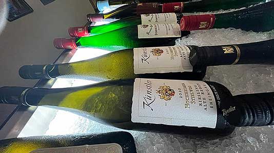 Weingarten Deutschland – Plzeňka u Zelené ratolesti, České Budějovice 18. 10. 2022 (1/19)