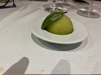 Weingarten Deutschland – Plzeňka u Zelené ratolesti, České Budějovice 18. 10. 2022 (8/19)