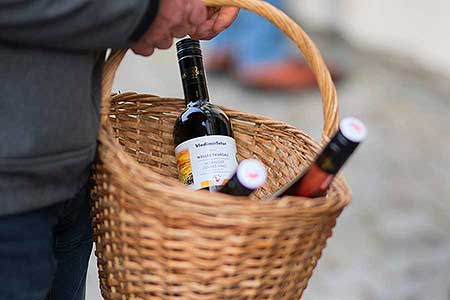 Příjezd svatého Martina a slavnostní otevření Svatomartinského vína 11. 11. 2022, foto: Tomáš Kasal (1/83)