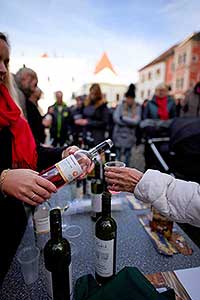 Příjezd svatého Martina a slavnostní otevření Svatomartinského vína 11. 11. 2022, foto: Tomáš Kasal (49/83)