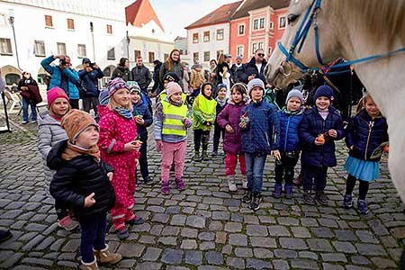 Příjezd svatého Martina a slavnostní otevření Svatomartinského vína 11. 11. 2022, foto: Tomáš Kasal (55/83)
