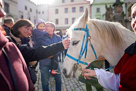 Příjezd svatého Martina a slavnostní otevření Svatomartinského vína 11. 11. 2022, foto: Tomáš Kasal (61/83)