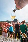Zahájení Festivalu vína Český Krumlov® na jižních terasách zámku 6. 10. 2023, foto: Tomáš Kasal (12/62)