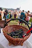 Zahájení Festivalu vína Český Krumlov® na jižních terasách zámku 6. 10. 2023, foto: Tomáš Kasal (56/62)