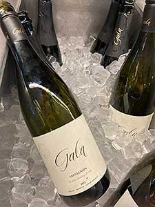 Vinařství Gala, Retro Café Český Krumlov 11.11.2023 (5/11)