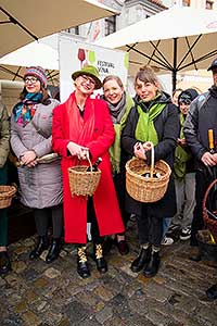 Příjezd svatého Martina a slavnostní otevření Svatomartinského vína 11. 11. 2023, foto: Tomáš Kasal (12/58)