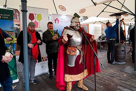 Příjezd svatého Martina a slavnostní otevření Svatomartinského vína 11. 11. 2023, foto: Tomáš Kasal (19/58)