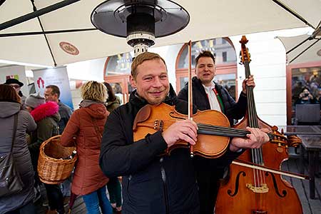Příjezd svatého Martina a slavnostní otevření Svatomartinského vína 11. 11. 2023, foto: Tomáš Kasal (33/58)