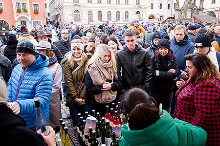 Příjezd svatého Martina a slavnostní otevření Svatomartinského vína 11. 11. 2023, foto: Tomáš Kasal (37/58)