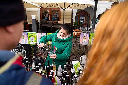 Příjezd svatého Martina a slavnostní otevření Svatomartinského vína 11. 11. 2023, foto: Tomáš Kasal (49/58)